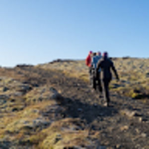 Meet your Posher, Hazel